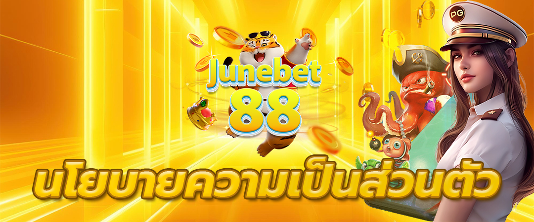 นโยบายความเป็นส่วนตัว